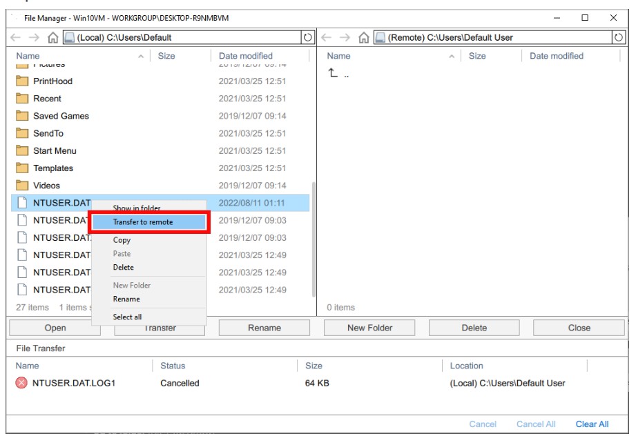 FileTransfer4 Basic Features - File Transfer
